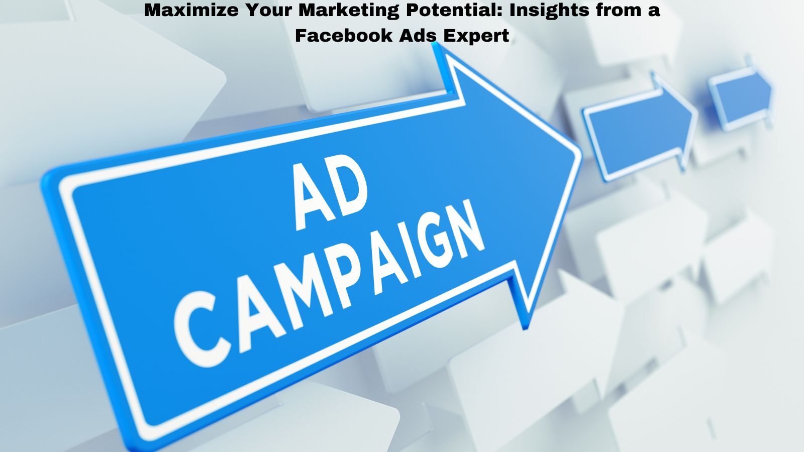 Maximize Your Marketing Potential: Insights from a Facebook Ads Expert